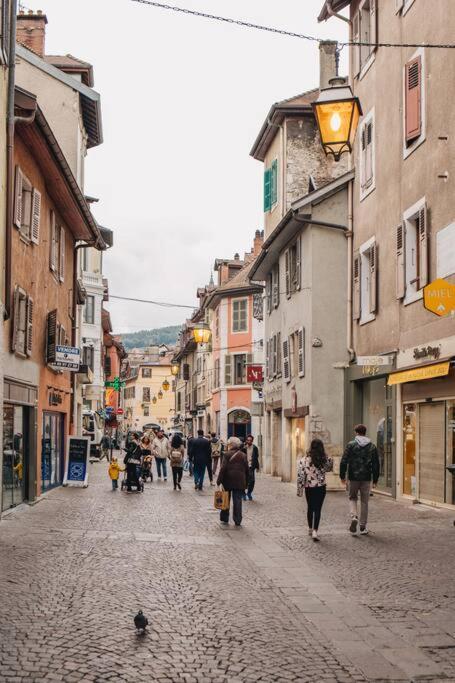 La Vie En Rose - Luxe, Calme & Hypercentre - 3* Appartement Annecy Buitenkant foto